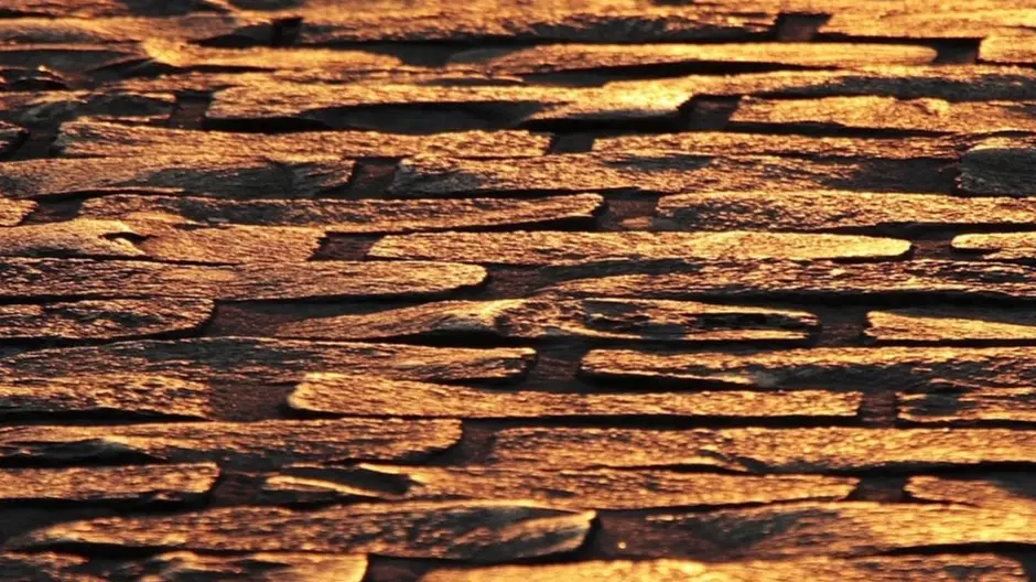 The Foundation for Radical Love