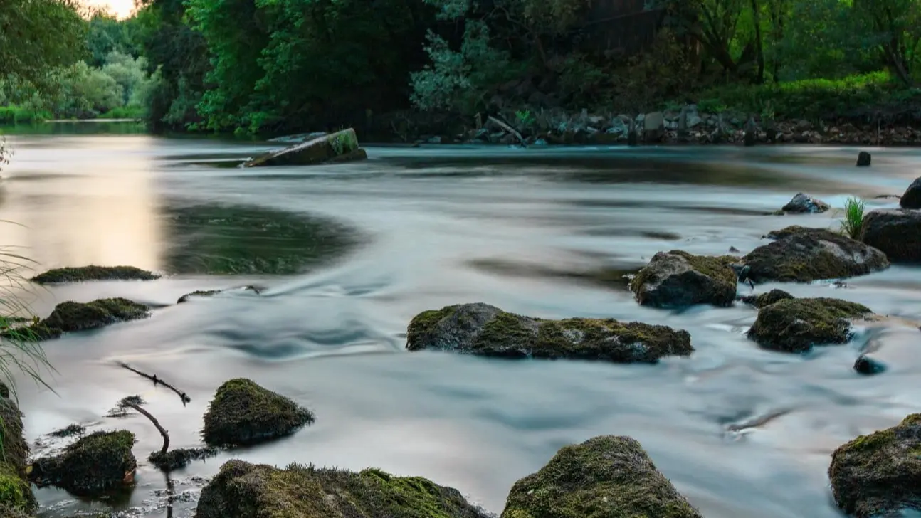 The Source of True Peace